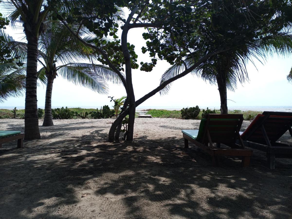 Casa Palma Beach House Brisas de Zicatela Eksteriør bilde